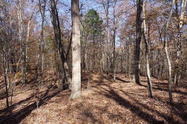 7 West of Barlow Rd, Rock Island, TN 38581