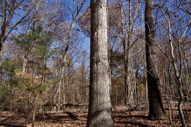 7 West of Barlow Rd, Rock Island, TN 38581