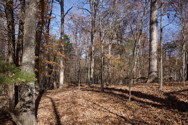 7 West of Barlow Rd, Rock Island, TN 38581