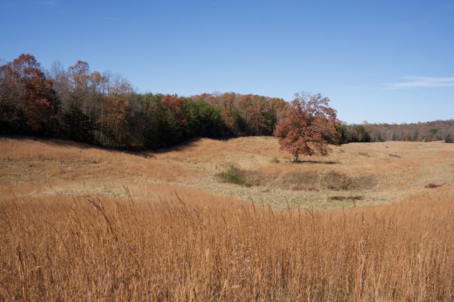 7 West of Barlow Rd, Rock Island, TN 38581