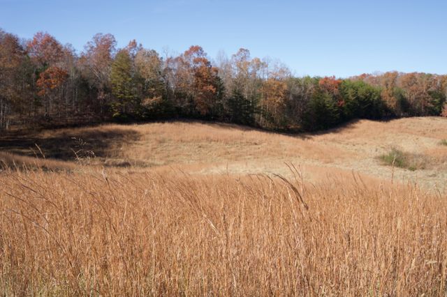 7 West of Barlow Rd, Rock Island, TN 38581