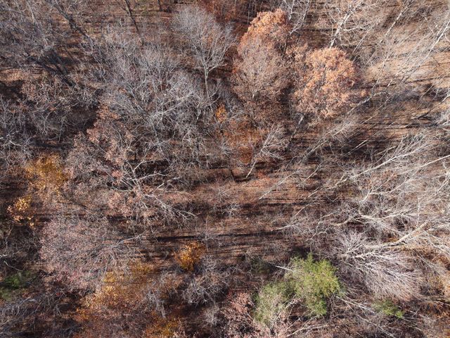 7 West of Barlow Rd, Rock Island, TN 38581