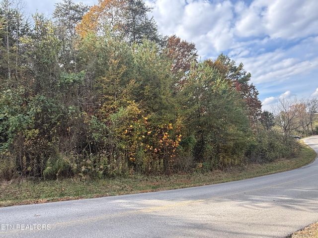 Nina Delozier Rd, Maryville, TN 37804