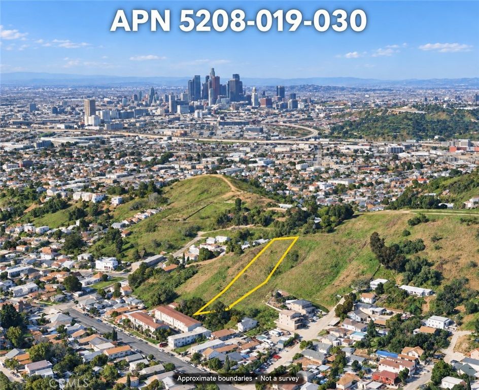 3110 lincoln park ave, Los Angeles, CA 90031 — exterior
