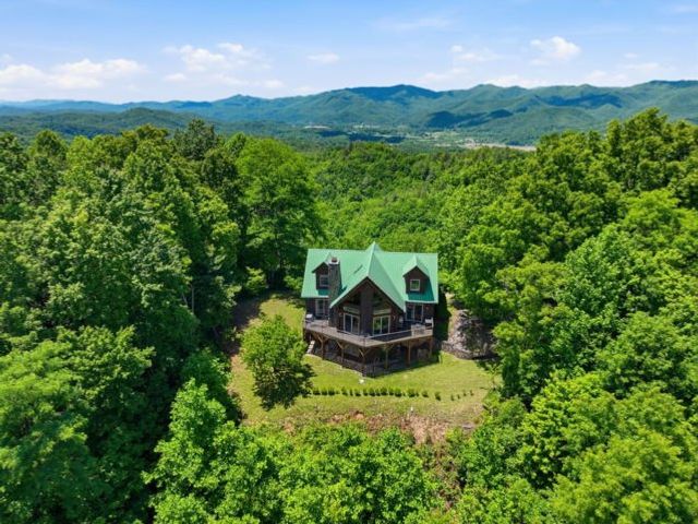 1440 Valley View Heights Lane, Andrews, NC 28901