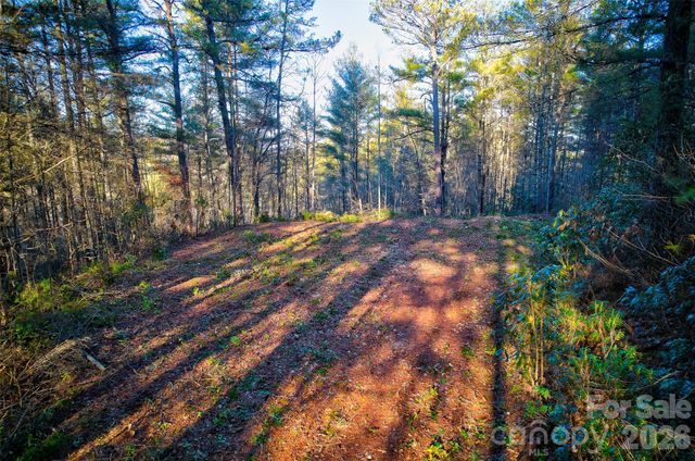 00 Piney Cove Road, Bryson City, NC 28713