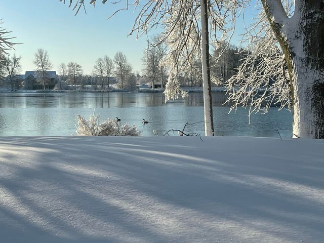 585 Norvell Beach Drive, Brooklyn, MI 49230