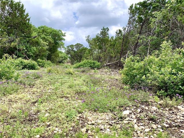 Lot 28 Sawtooth DR, Bertram, TX 78605