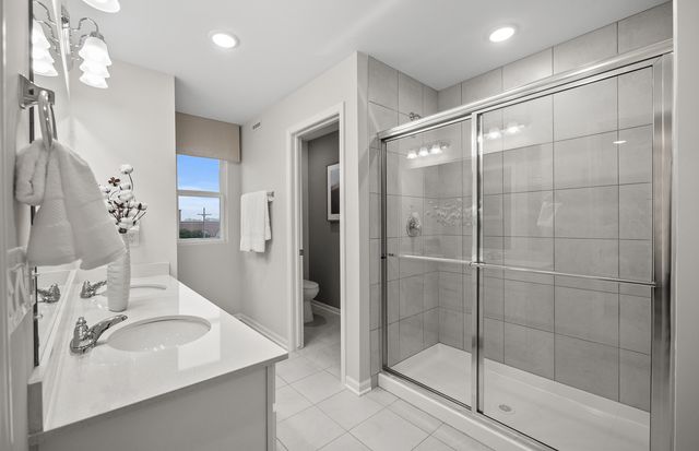 210 Steeple Bush Lane 9238, Schaumburg, IL 60193