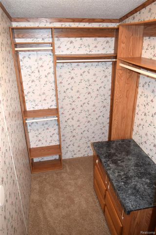 443 Pond View Drive, Morrice Village, MI 48857
