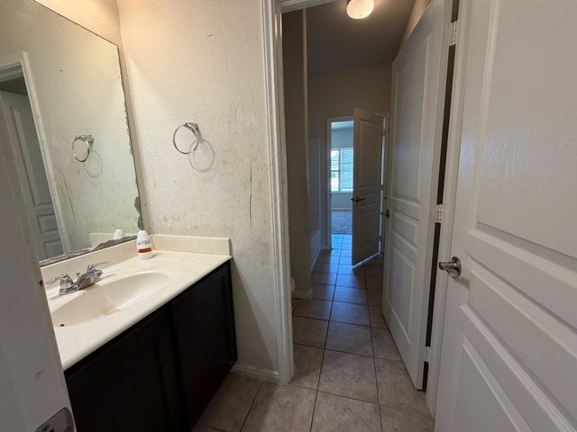 26066 Haggard Nest Drive, Katy, TX 77494