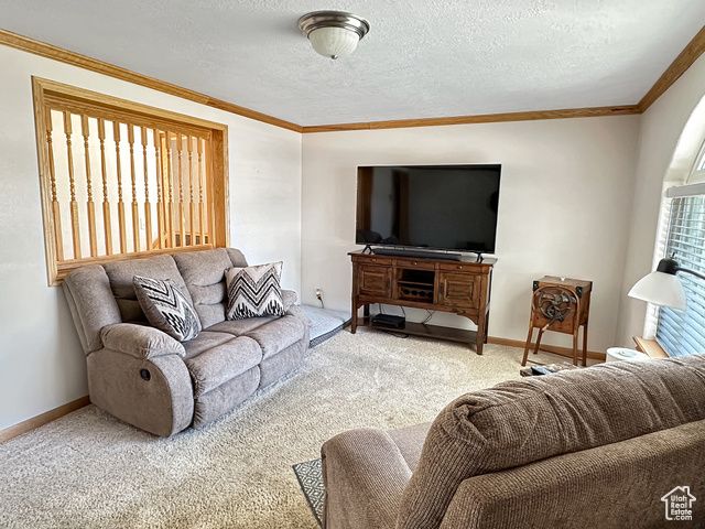 415 N CEDAR VIEW, Orangeville, UT 84537