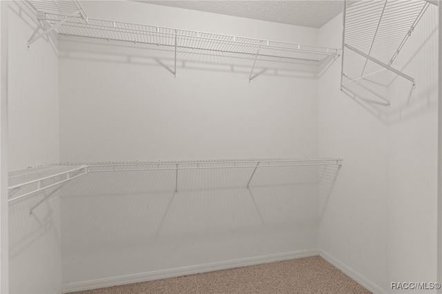 3548 E Cove Park Trail, Hernando, FL 34442