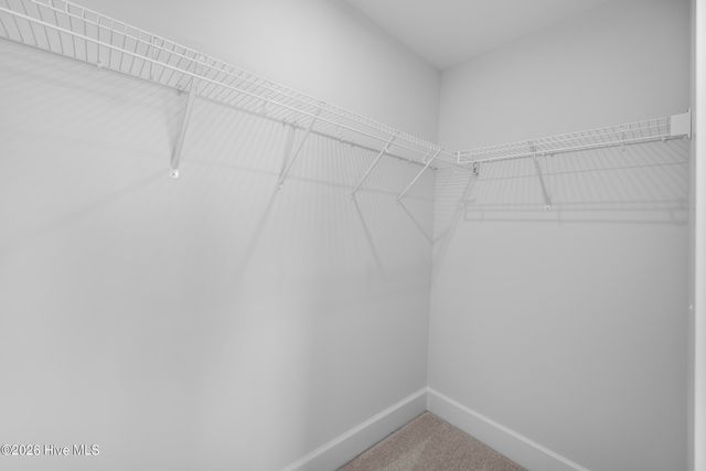 4020 Smoked Maple Drive 59, Leland, NC 28451