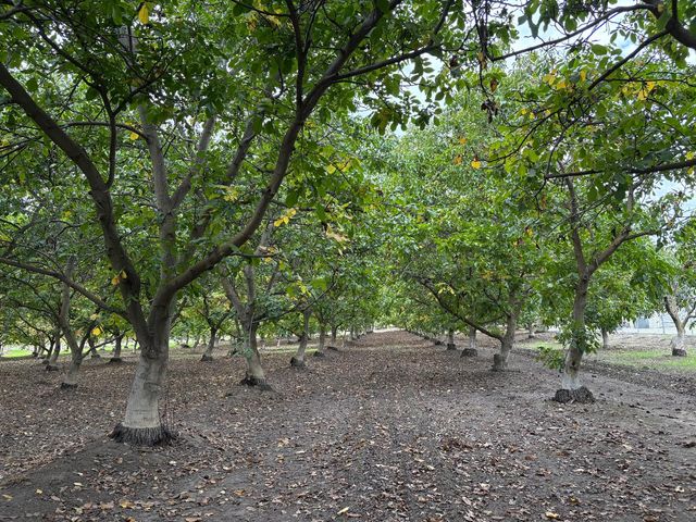 5331 Geer Rd, Hughson, CA 95326