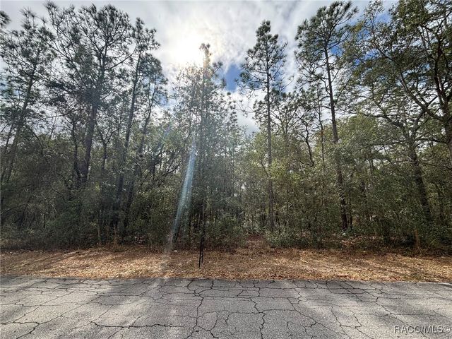 6534 Kent Street, Inverness, FL 35542