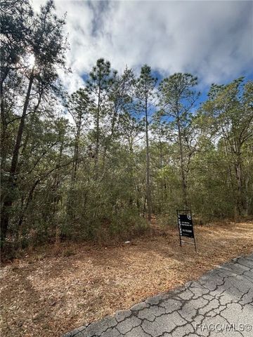 6534 Kent Street, Inverness, FL 35542