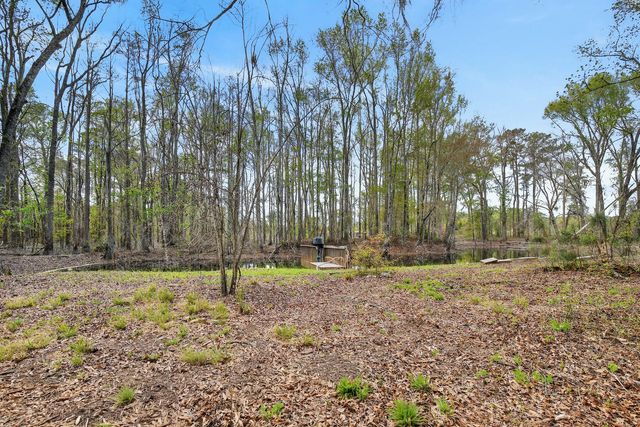 3643 Char-Augusta Road, Bamberg, SC 29003