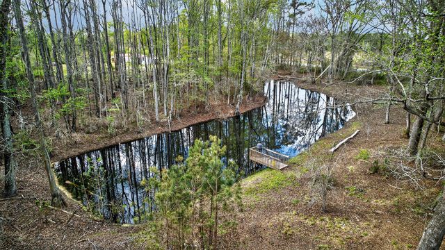 3643 Char-Augusta Road, Bamberg, SC 29003