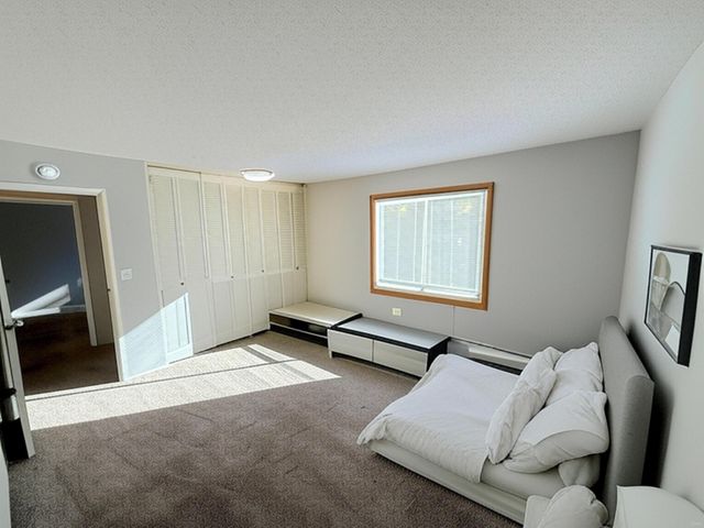 10301 Cedar Lake Road 102, Hopkins, MN 55305