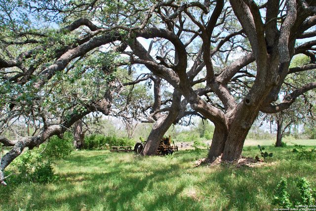 2725 Old Lehmann, Seguin, TX 78155