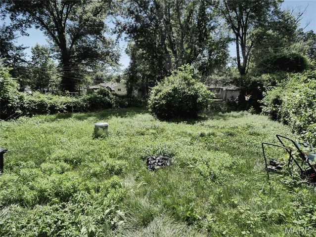 10113 Crown Point Drive, St Louis, MO 63136