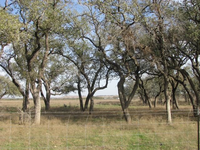 996 County Road 421, Evant, TX 76525