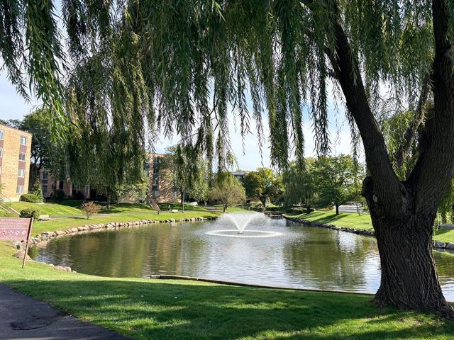 502 W Huntington Commons Road 241, Mount Prospect, IL 60056