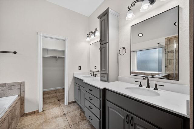313 Cave River Drive, Murphy, TX 75094