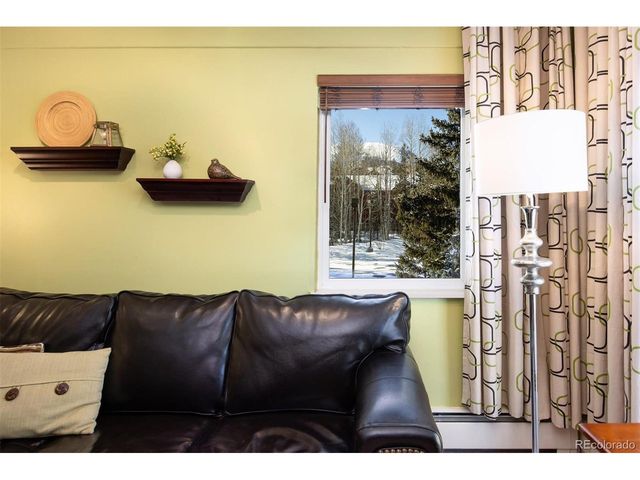 101 Ryan Gulch Ct A103, Silverthorne, CO 80498