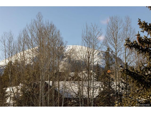 101 Ryan Gulch Ct A103, Silverthorne, CO 80498