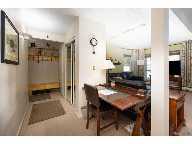 101 Ryan Gulch Ct A103, Silverthorne, CO 80498