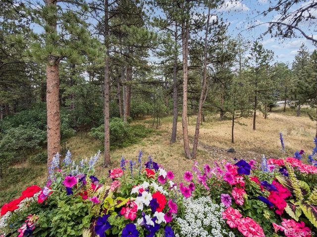 1240 Hoosier Drive, Larkspur, CO 80118