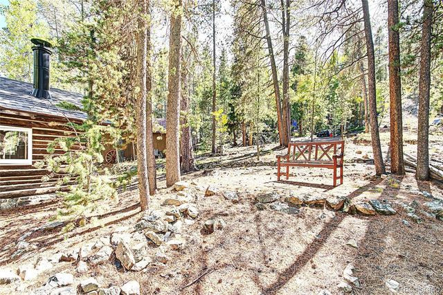 7739 County Road 43, Bailey, CO 80421