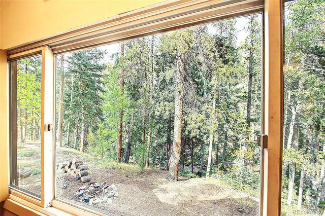 7739 County Road 43, Bailey, CO 80421