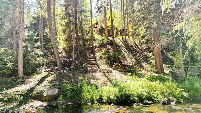 7739 County Road 43, Bailey, CO 80421