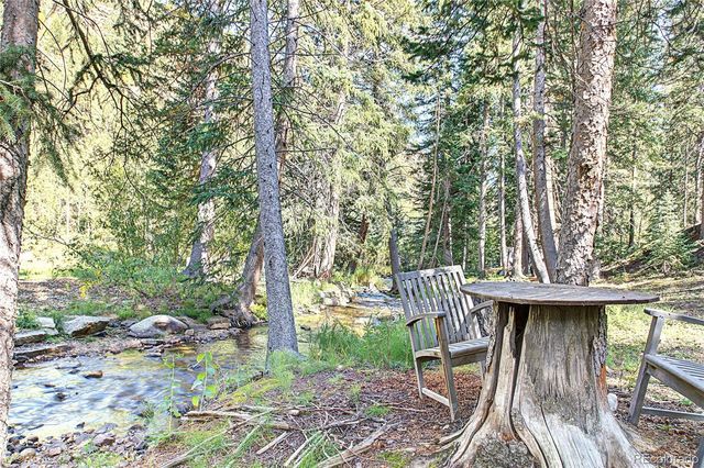 7739 County Road 43, Bailey, CO 80421