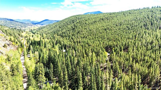 7739 County Road 43, Bailey, CO 80421