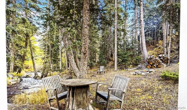 7739 County Road 43, Bailey, CO 80421