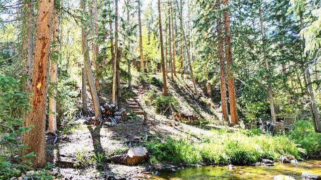 7739 County Road 43, Bailey, CO 80421