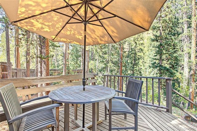 7739 County Road 43, Bailey, CO 80421