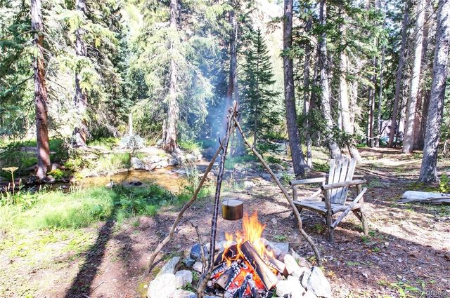 7739 County Road 43, Bailey, CO 80421