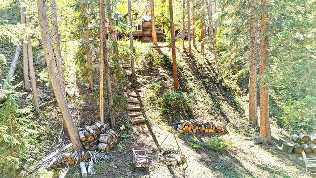 7739 County Road 43, Bailey, CO 80421