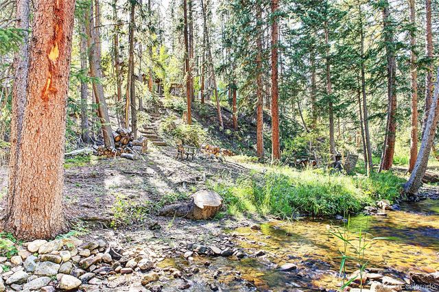 7739 County Road 43, Bailey, CO 80421