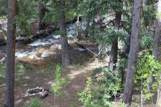 7739 County Road 43, Bailey, CO 80421