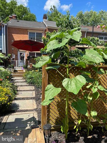 818 WOLFE ST, Alexandria, VA 22314