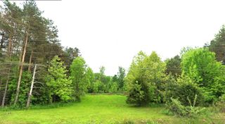 7181 W Mount Morris Road, Flushing, MI 48433