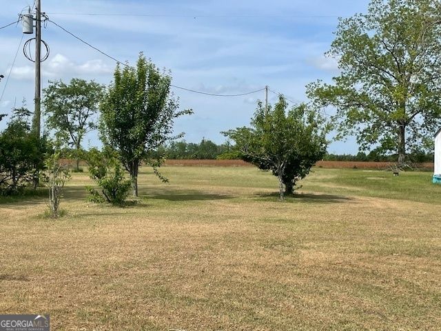 16877 Ga Highway 129 S, Cobbtown, GA 30420