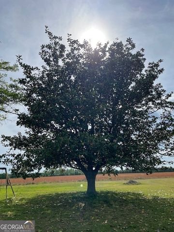 16877 Ga Highway 129 S, Cobbtown, GA 30420