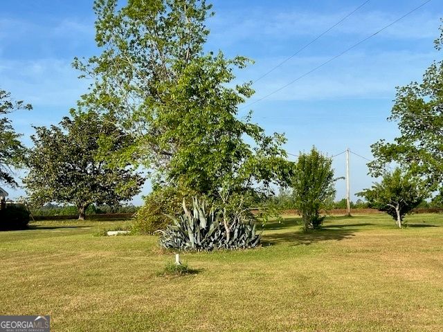 16877 Ga Highway 129 S, Cobbtown, GA 30420